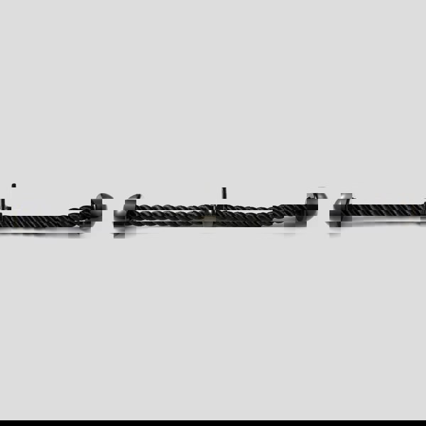 Phoenix Fitness TRICEP ROPE