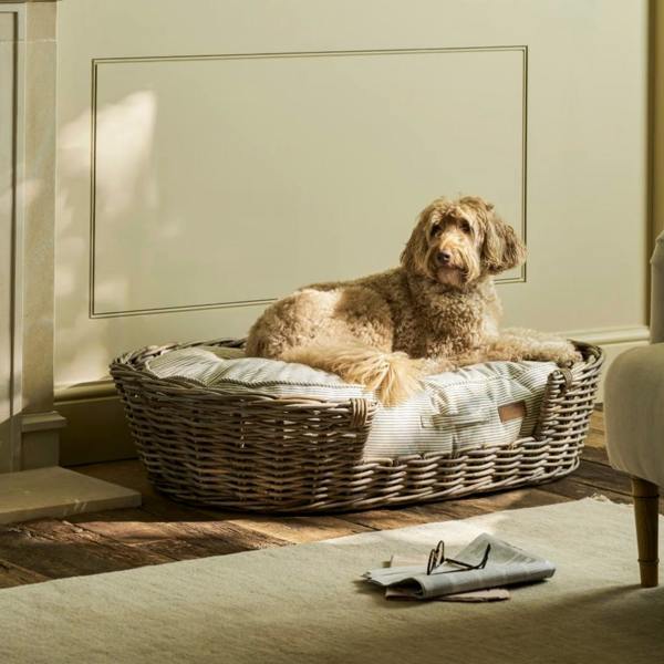A large curly-haired dog sitting on an extra-large sage green striped cotton pet cushion.
