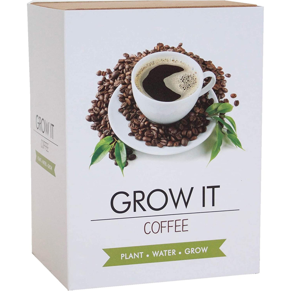 Abode Home & Gifts Grow Your Own Coffee Plant Kit