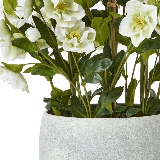 Wyld Haus Large Artificial Plant White Hellebore Flowers In Grey Pot