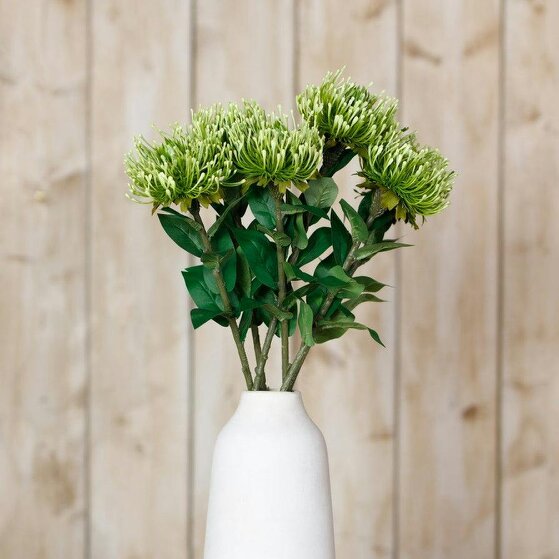 Wyld Haus Set of 3 Artificial Flowers Green Protea Lorea Stems
