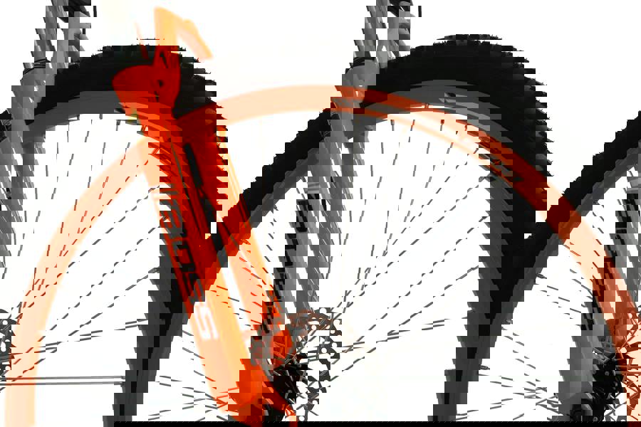 Boss Black Ice Mountain Bike