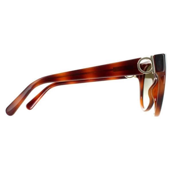 Salvatore Ferragamo Sunglasses SF1031S 214 Tortoise Green