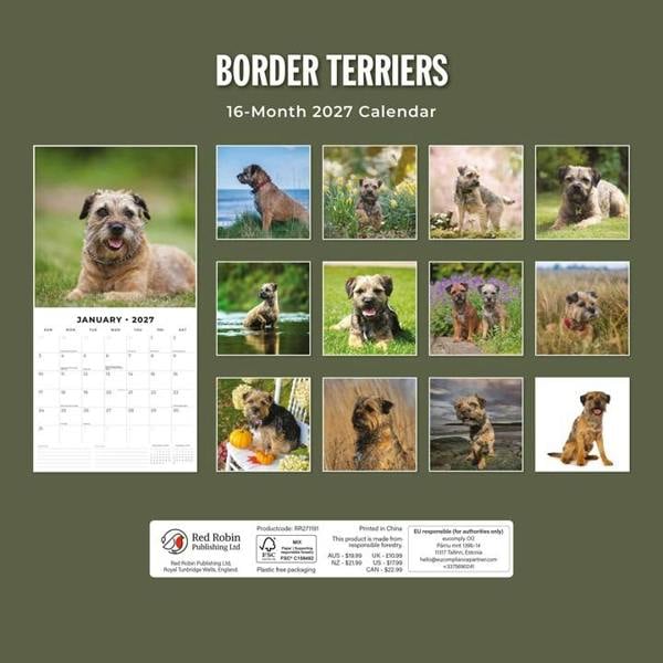 Border Terriers Calendar 2027, Wall Calendars, Month To View, Dogs, Gift