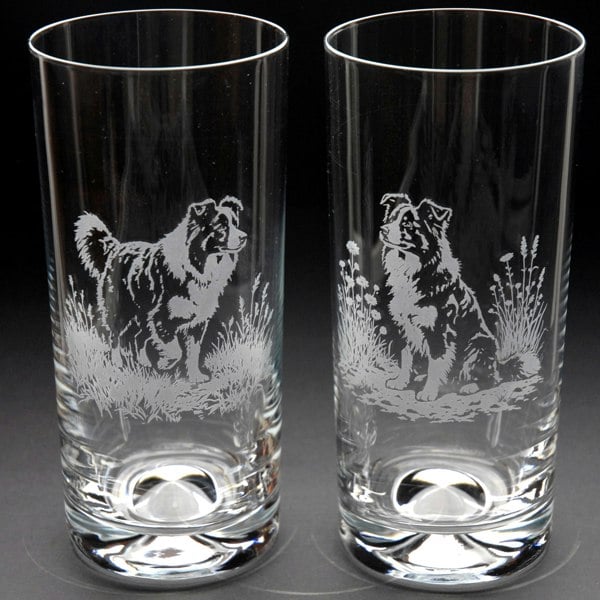Glyptic Glass Art Border Collie Dog Highball Glass - Hand Etched/Engraved Gift