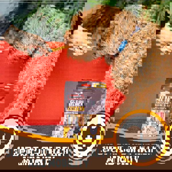 Rosewood Collagen Chicken Rolls Dog Treats 70g