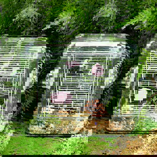 Portable Transparent Hamster Cage Living and Home