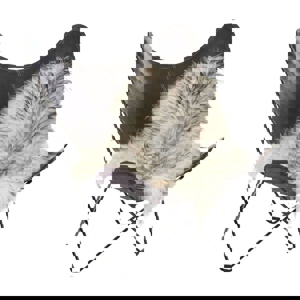 Icelandic Sheepskin | Long Wool | 100-120 cm Natural Grey