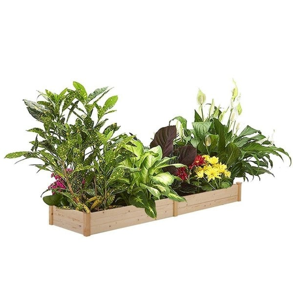 Solid Wood Raised Garden Bed with 2 Compartments Living and Home 
