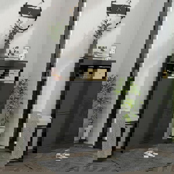 Flip-down Shoe Cabinet