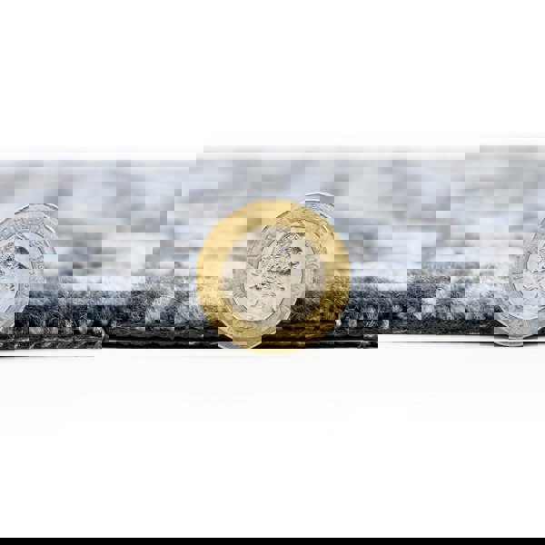 JVL Mega Mat Machine Washable Entrance Runner and Doormat Set, Branches