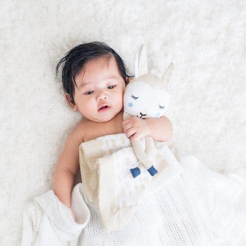 Lulujo - Lovey - Llama