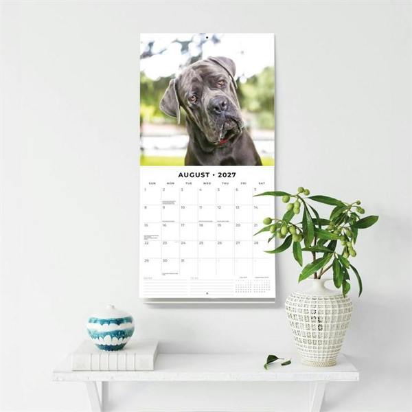 Mastiffs Calendar 2027, Wall Calendars, Month To View, Dogs, Gift