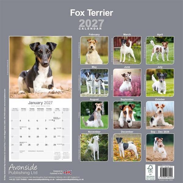 Fox Terrier Calendar 2027, Wall Calendars, Month To View, Dogs, Gift