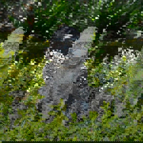 Stone cast Cheeky Monkey sculpture