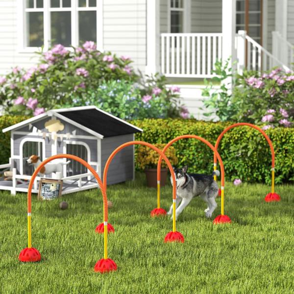 Pet Agility Set