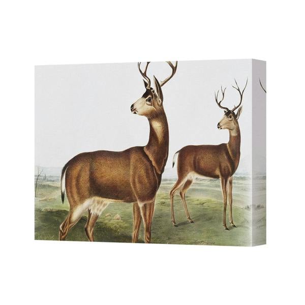 Benjamin Tate Design Canvas Wall Art Two Deer Landscape Wildlife Painting Print