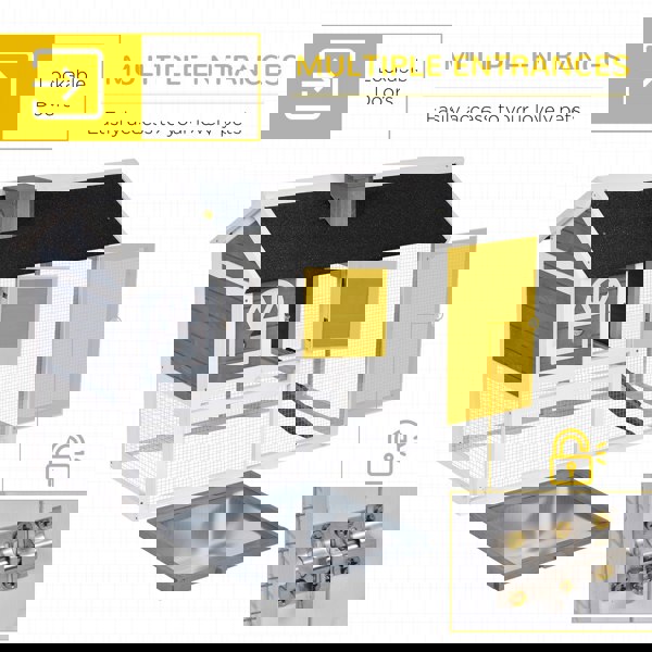 D51-174GY