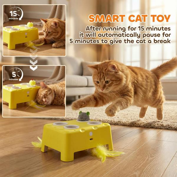 Cat Toys
