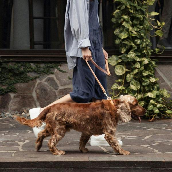 EzyDog Oxford Leather Classic Dog Lead in Pink