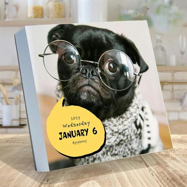 Dog A Day Desk Calendar 2027, Desk Calendars, Day To View, Dogs, Gift