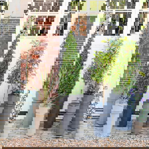#color_grey