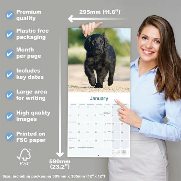 Flat Coated Retriever Calendar 2027, Wall Calendars, Month To View, Dogs, Gift