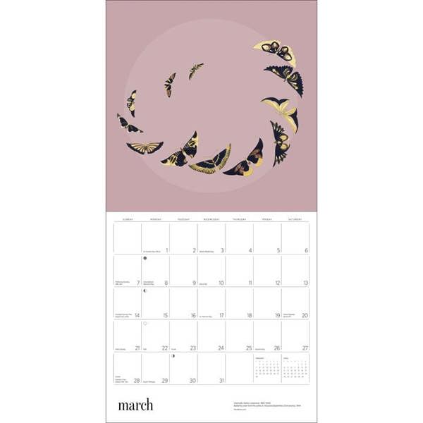 Butterflies Calendar 2027, Wall Calendars, Month To View, Animals, Gift