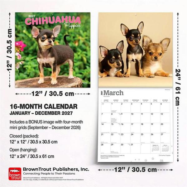 Chihuahua Puppies Calendar 2027, Wall Calendars, Month To View, Dogs, Gift