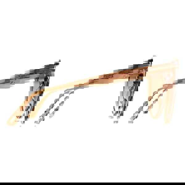 Tom Ford Sunglasses FT0915 Isabella 45G Shiny Light Brown Brown Mirror