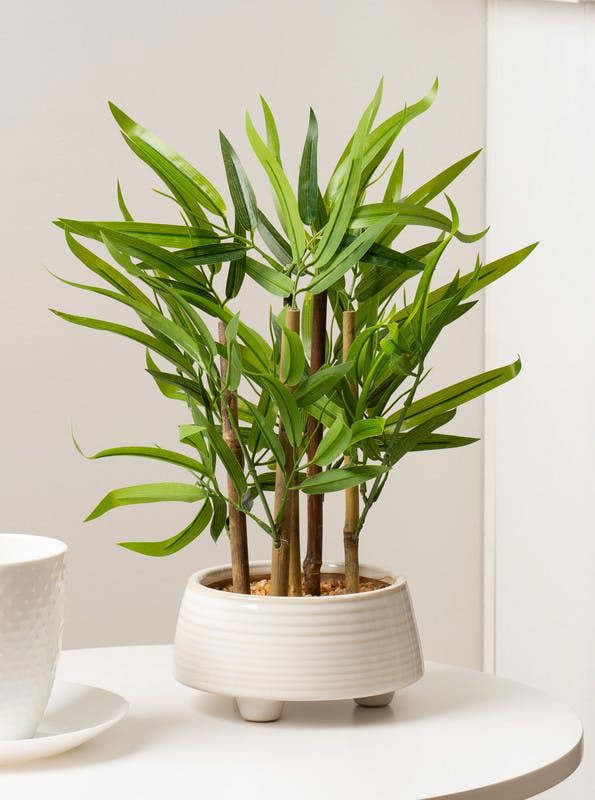 Scottish Everlastings 40cm Artifical Bamboo in Ceramic Pot