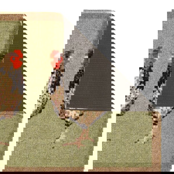 My Mat Nylon - My Chickens