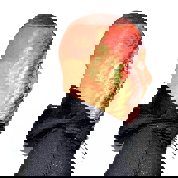 Faceskinz - Fabric Mask - Halloween Ideas