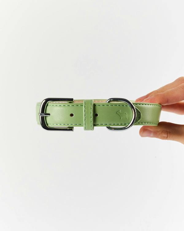 Barc London Green Dog Collar - XS & XL Only
