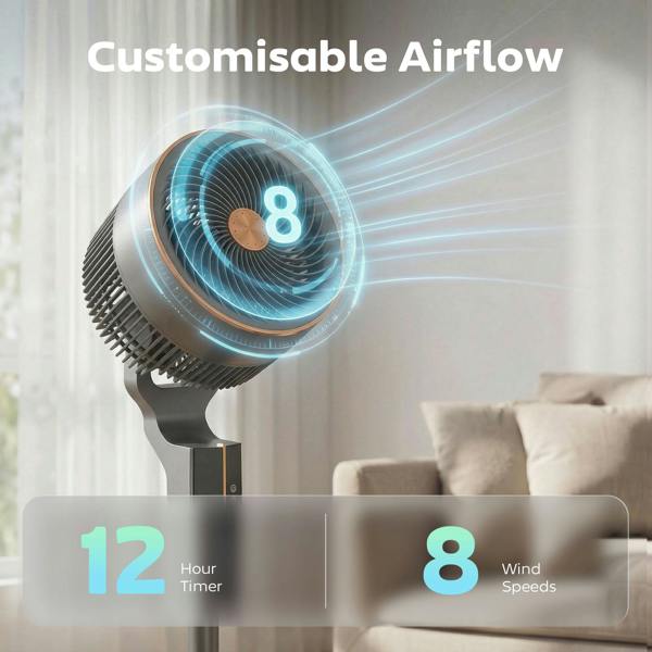 Air Circulator Fan