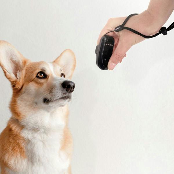 EzyDog Command Training Clicker