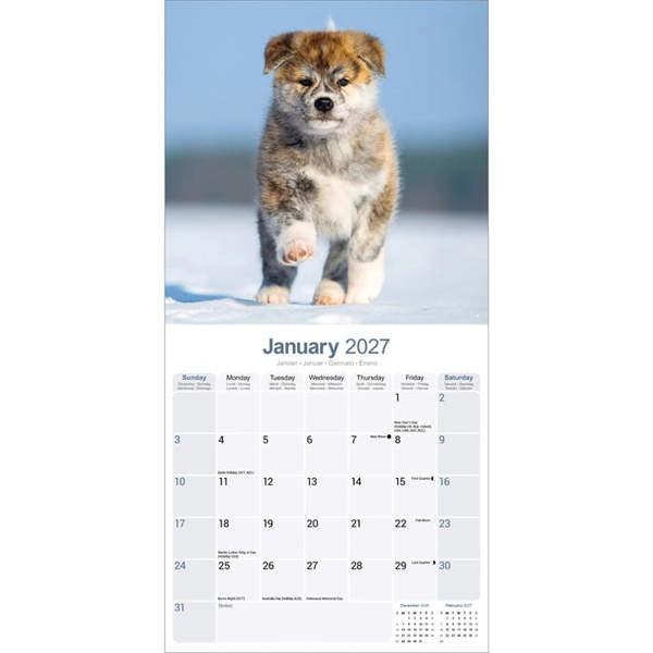 Akita Calendar 2027, Wall Calendars, Month To View, Dogs, Gift