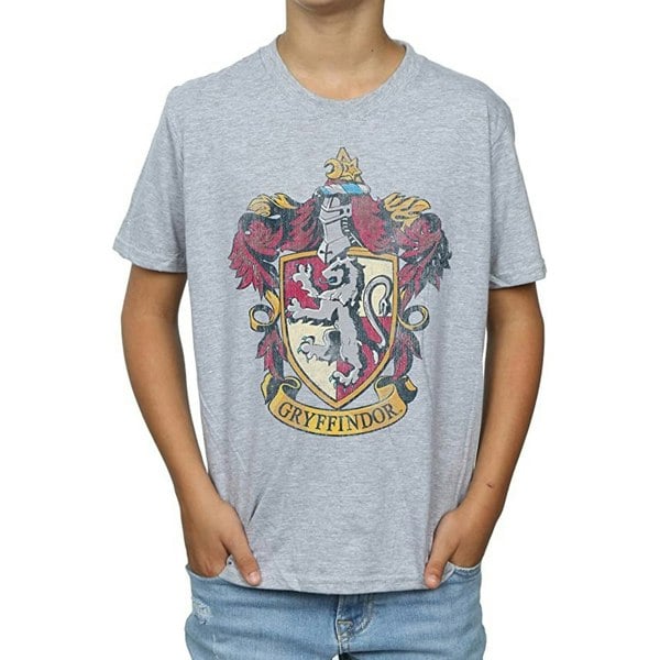 Harry Potter Boys Gryffindor T-Shirt - Sports Grey