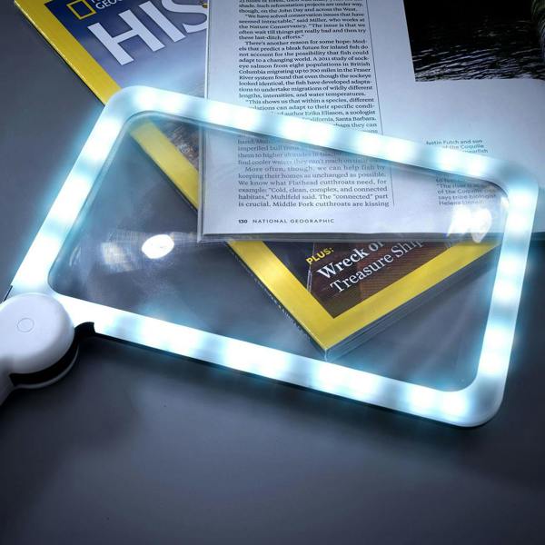 Handheld Magnifier