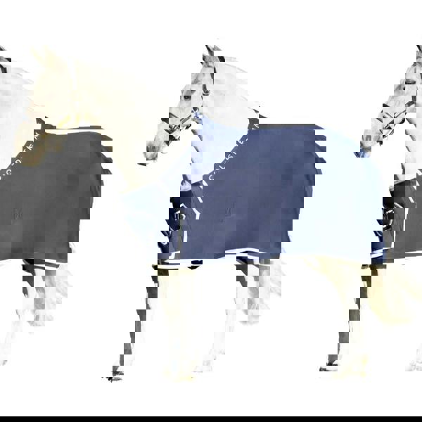 Coldstream Newton Show Sheet - Navy