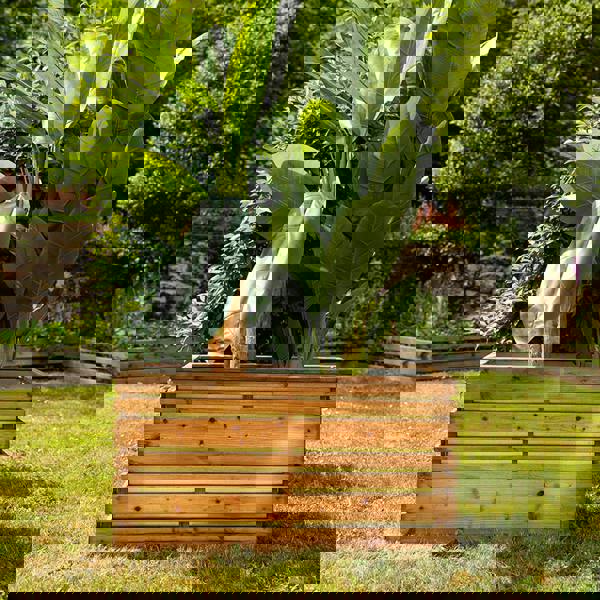 Cerland Lign Z Rectangular Slatted Planter 100cm x 50cm 202L Garden Planter