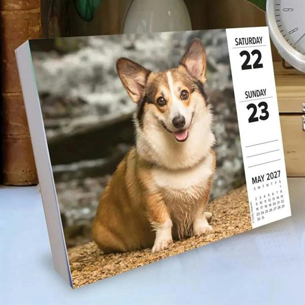 Just Corgis Desk Calendar 2027, Desk Calendars, Day To View, Dogs, Gift