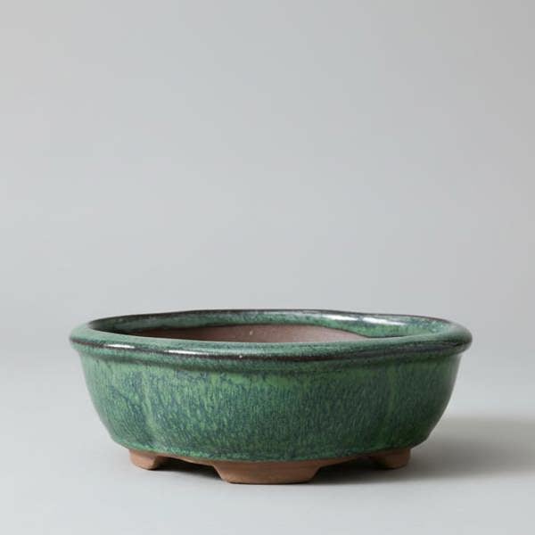 Yorkshire Bonsai 13cm Glazed Bonsai Pot | Floral | 13cm x 10cm x 5cm | Green