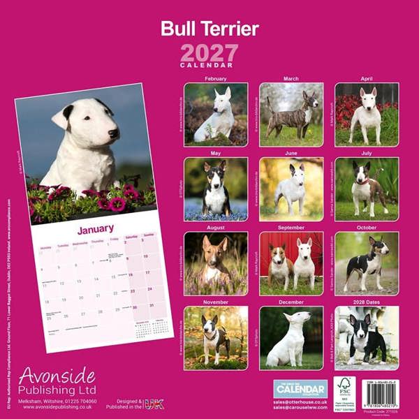 Bull Terrier Calendar 2027, Wall Calendars, Month To View, Dogs, Gift
