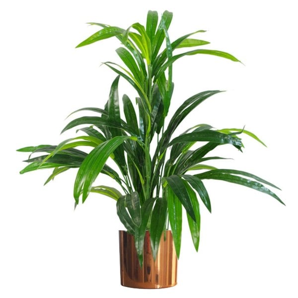 Leaf 65cm Artificial Large Leaf Bamboo Shrub Plant with Copper Metal Planter