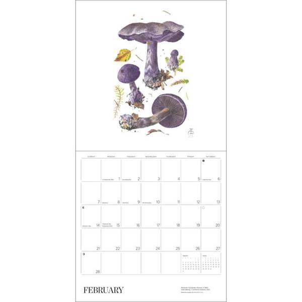 Alexandar Viazmensky, Mushrooms Calendar 2027, Wall Calendars, Month To View, Natural World, Gift