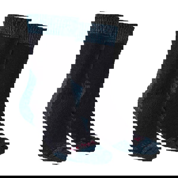 t4option1_1