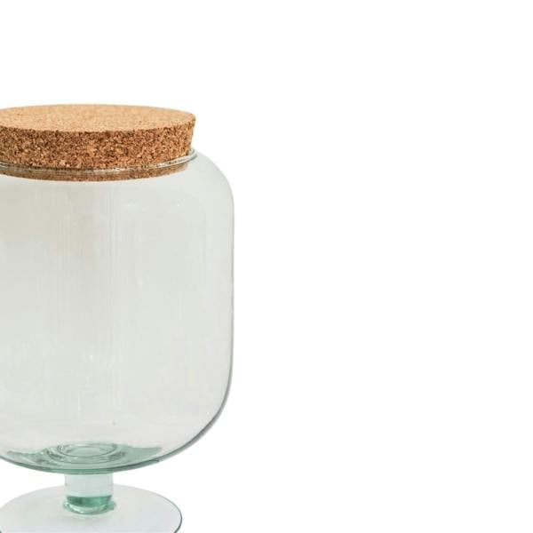 Ivyline Glass Footed Cork Lid Terrarium