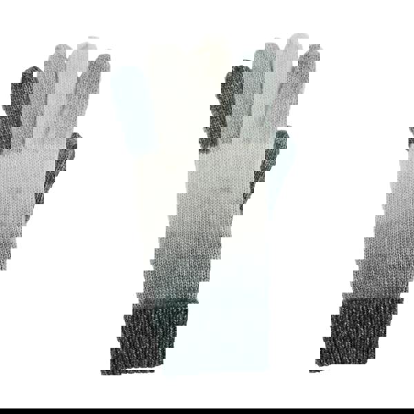 Regatta Womens Frosty Winter Gloves - Seed Grey/Light Vanilla