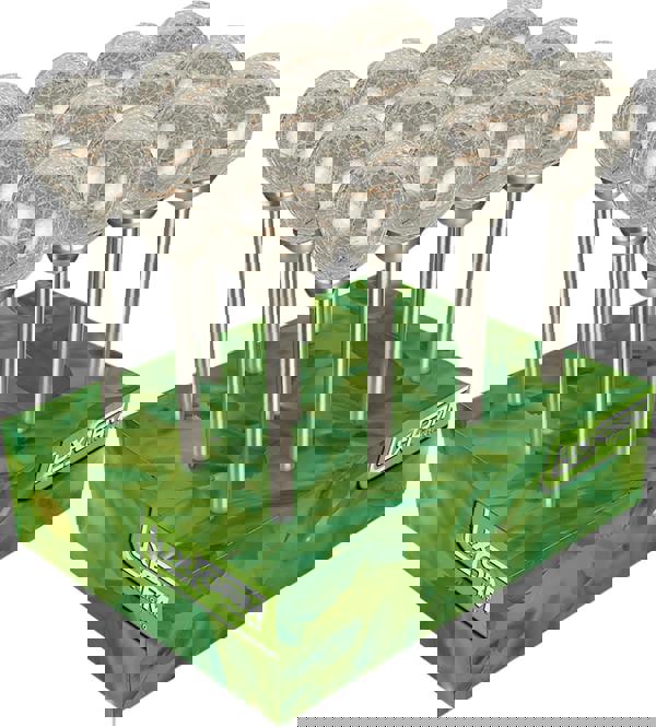 Luxform Solar Mambo Stainless Steel Spike Light 12pk